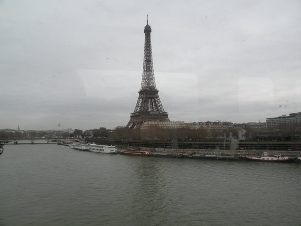  Seine et Tour Eiffel